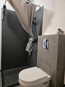 e bagno con servizi igienici e doccia. di Hotel Hafnarfjall a Borgarnes Altre 37 foto