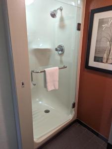 uma cabina de duche na casa de banho com uma toalha em Sleep Inn Pelham Oak Mountain em Pelham