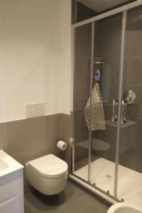 ローマにあるApartment Via Raffaele Balestraのバスルーム(トイレ、ガラス張りのシャワー付)