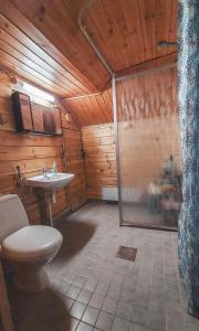 a bathroom with a toilet and a sink at Villa Jääskelä Hanko - koko talo in Hanko