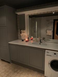 uma cozinha com um lavatório e uma máquina de lavar roupa em Roni Chalet Hemsedal - Holdeskaret em Hemsedal