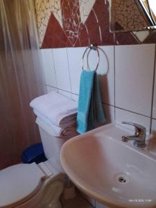 ein Badezimmer mit einem weißen WC und einem Waschbecken in der Unterkunft ammonite aventura del Maipo casa entera reserva 50 por ciento anticipado in San José de Maipo