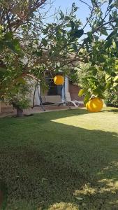 Gallery image of Splendide villa 2 ch avec piscine privée sans vis à vis à DYAR SHEMSI in Riaïna