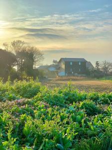 a farm with a house and a field of plants at Ukishimakan Bettei Guest House - Vacation STAY 14350 in Shimo-rokka