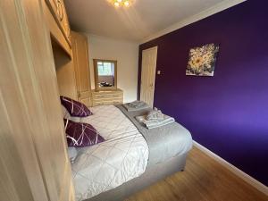 a bedroom with purple walls and a bed with pillows at Rooms in stylish house in Milton Keynes