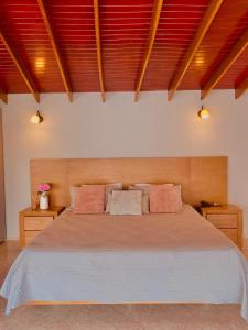 una camera da letto con un grande letto con cuscini rosa di Juan de la vega a La Vega