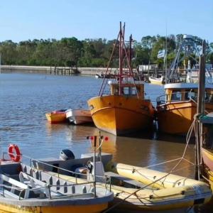 un grupo de barcos están atracados en el agua en Arenas blancas 2024, en San Clemente del Tuyú
