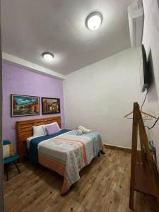 Photo de la galerie de l'établissement Sunset Guesthouse, à Flores 8 autres photos