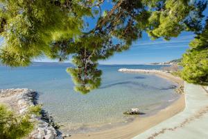 a view of a beach with rocks and the ocean at Rogač Rooms & Restaurant in Omiš