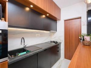 O bucătărie sau chicinetă la Apartments with parking space Babino Polje, Mljet - 22322