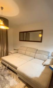 uma sala de estar com um sofá e um espelho em Très jolie F2 cosy 45m2 avec balcon et parking proche Paris em Livry-Gargan