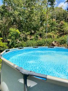 una gran piscina en un patio en Casa Irene, en Orotina
