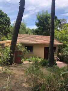 a house with two trees in front of it at Chalet zona del bosque in Valeria del Mar