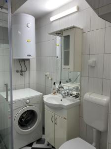 a bathroom with a washing machine and a sink at FIA HOUSE Hrom in Dolno Nerezi