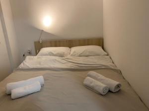 Afbeelding uit fotogalerij van FIA HOUSE Hrom in Skopje