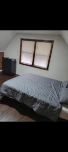 ein Schlafzimmer mit einem Bett und zwei Fenstern in der Unterkunft Cozy home in Washington Heights in Chicago