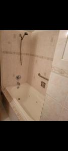 eine Badewanne im Bad mit Dusche in der Unterkunft Cozy home in Washington Heights in Chicago
