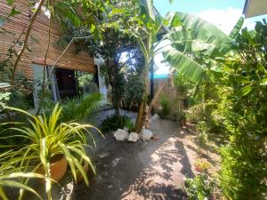 a garden with trees and plants in front of a house at S&S House 2 in Koh Phangan