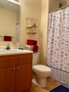 y baño con aseo, lavabo y espejo. en Villas Del Mar Beach Resort, en Loiza