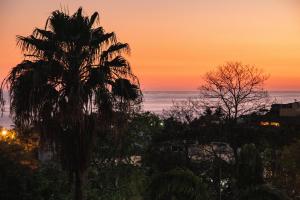 uma palmeira em frente a um pôr-do-sol em Cielito Lindo Suites em Puerto Escondido