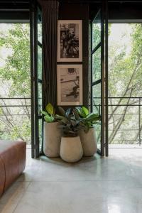 Fotografie z fotogalerie ubytování Hotel Meridiano Lofts v destinaci Medellín