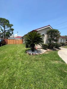 a house with a palm tree in the yard at Southern’s Beauty2 very close to airport in Kenner