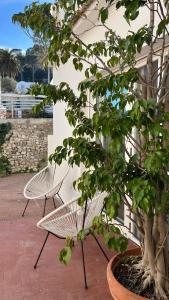two white benches sitting next to a tree at CAPRI DESIGN ROOM in Capri