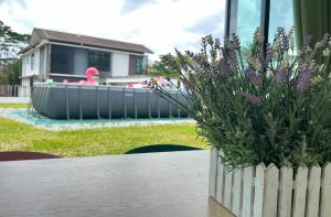 un vase de fleurs sur une table avec une piscine dans l'établissement Desaru 20Pax Cozy Chill villa Private Pool, à Johor Bahru 21 autres photos