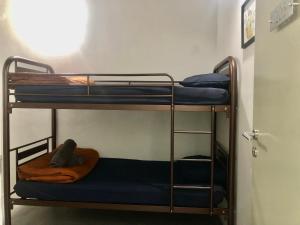 a couple of bunk beds in a room at BRICKS Cameron Hostel in Tanah Rata