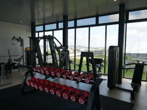 Γυμναστήριο ή/και όργανα γυμναστικής στο Pollux Habibie Apartment Batam