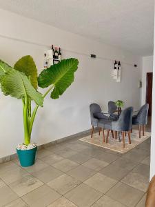 a dining room with a table and chairs and a plant at Appartement 1 chambre, 1 salon, 1 balcon, Immeuble T Bella, Calafatas, Yaoundé in Yaoundé