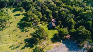 an aerial view of a house in the middle of a forest at El Hongo Finca Hostal / Camping in Capurganá