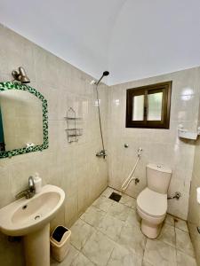 ein Bad mit einem WC, einem Waschbecken und einer Dusche in der Unterkunft Mirage Village in Dahab