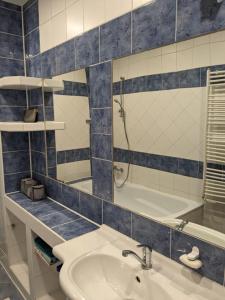 a bathroom with a sink and a shower and a tub at LiVi in Spišská Nová Ves