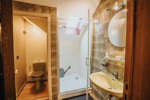 bagno con lavandino, servizi igienici e specchio di Le refuge de Kila a Waimes