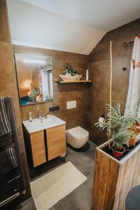 bagno con lavandino, servizi igienici e specchio di Le refuge de Kila a Waimes