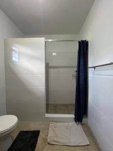 ein Bad mit Dusche, WC und Duschvorhang in der Unterkunft Golden Bean Grove in Lusaka