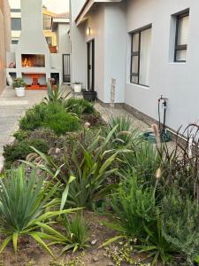 a garden in front of a house with plants at SOMS Langstrand Self Catering in Langstrand