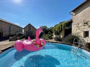 un flamenco rosa inflable en una piscina en The Old Winery, Loire, en Le Puy-Notre-Dame
