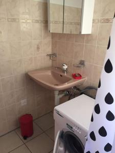 a bathroom with a sink and a washing machine at Appartement Casa Rancurina in Olivone