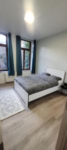 1 dormitorio con 1 cama en una habitación con ventanas en Au pied du théâtre, en Verviers