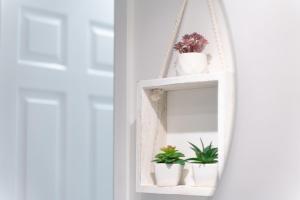 a shelf with potted plants in a mirror at Open Mind Property - City Centre & Free Parking in Southampton