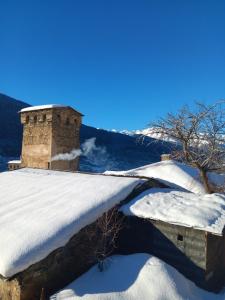 a snow covered roof of a building with a tree at Guest House Keti Margiani Mestia in Mestia