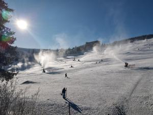 上維森塔爾溫泉鎮的住宿－Summit of Saxony Resort Oberwiesenthal，一群人沿着雪覆盖的斜坡滑雪