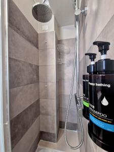 拉奎拉的住宿－Il Filo Rosso，浴室内配有淋浴和吹风机
