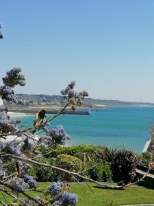 オーディエルヌにあるMagnifique maison-Vue mer exceptionnelle.のビーチを見下ろす木の枝に止まった鳥