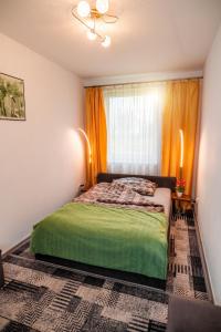 Legnickie PoleにあるApartament 45m2のベッドルーム(緑のベッド1台、窓付)