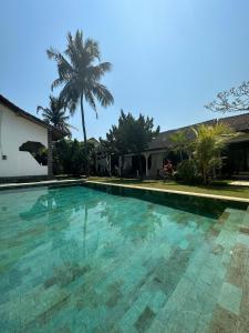 - une piscine en face d'une maison avec un palmier dans l'établissement The Confidential Mandalika, à Kuta Lombok