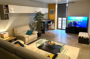 een woonkamer met een bank en een flatscreen-tv bij L'Olivier in Aix-les-Bains