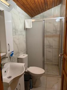 La salle de bains est pourvue d'une douche, de toilettes et d'un lavabo. dans l'établissement Sunthalia Olympos Bungalow, à Kumluca